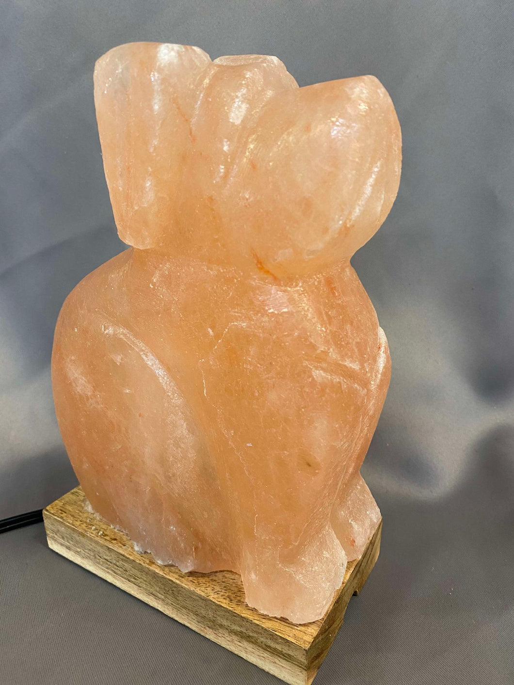 Himalayan Dog Salt Lamp