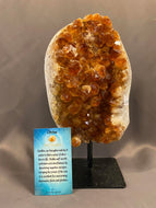 Citrine Cluster on stand