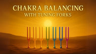 ✨ Sonic Chakra Alignment – Tuning Fork Service ✨