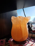Himalayan Salt Lamp-Flower