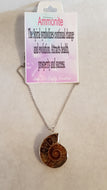 Ammonite Necklace
