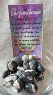 Chrysanthemum Tumbled Stones