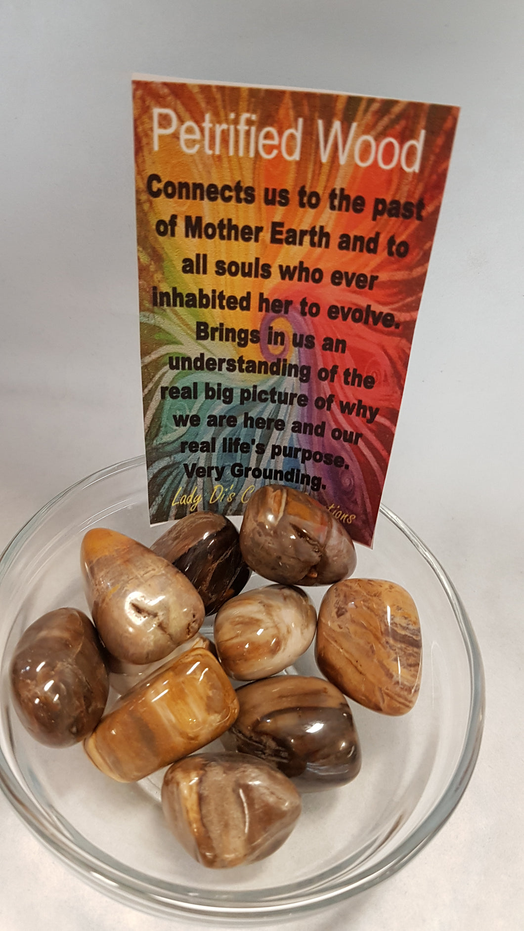 Petrified Wood Tumbled Stones