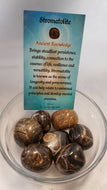 Stromatolite Tumbled Stones