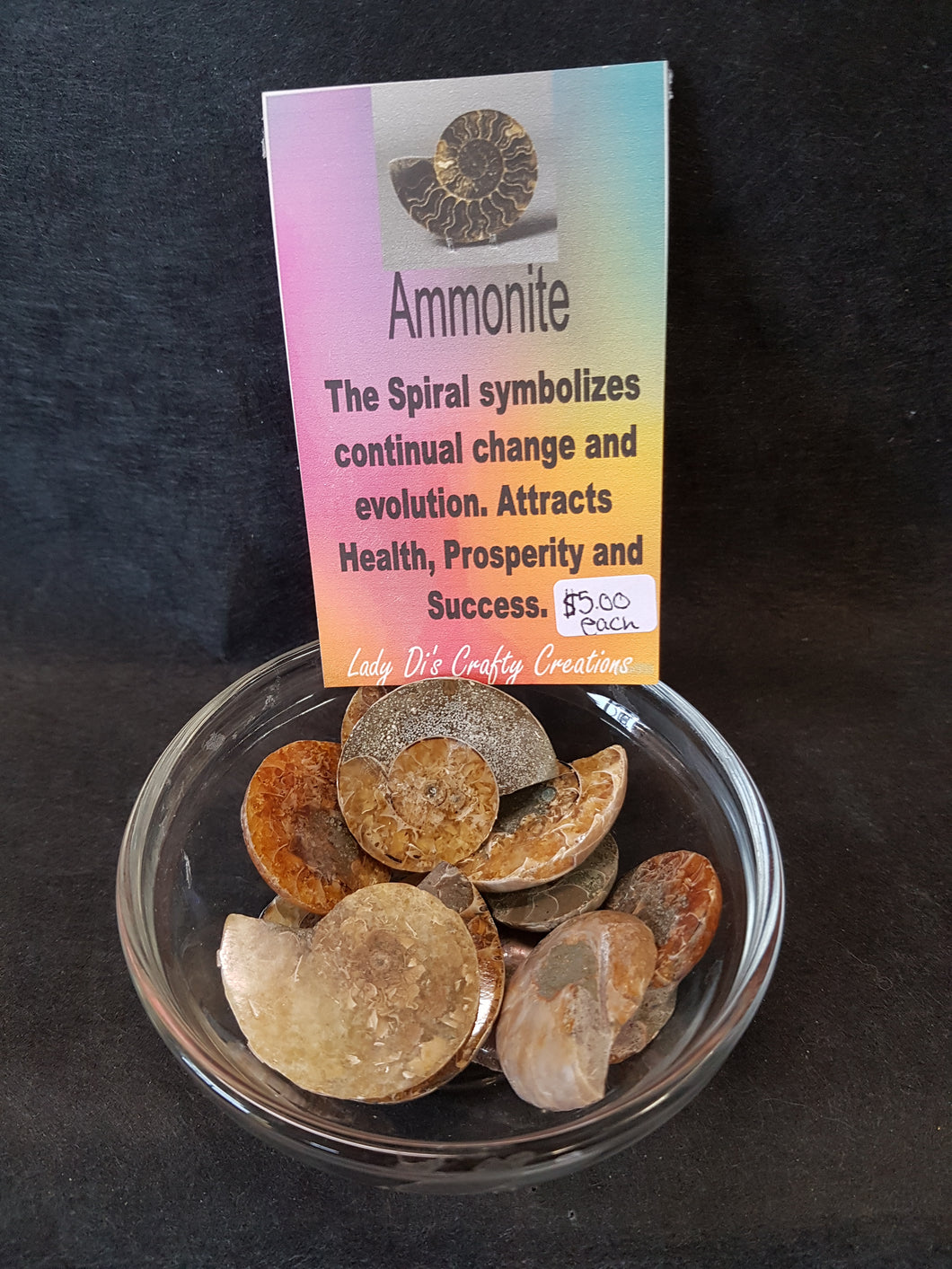 Ammonite Fossil Tumbled Stones