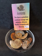 Ammonite Fossil Tumbled Stones